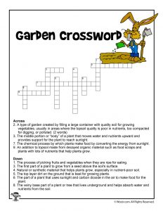Garden Curriculum Crossword Printable